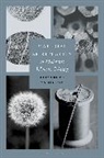 Elizabeth Anderson - Material Spirituality in Modernist Women's Writing