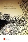 Patrick Humblet, Marc Rigaux - Introduction to Belgian Labour Law