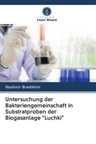 Vladimir Bredikhin - Untersuchung der Bakteriengemeinschaft in Substratproben der Biogasanlage "Luchki"