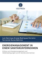 Belchior, Fernando Nunes Belchior, Luiz Henrique Araújo Rodrigue Ferreira, Luiz Henrique Araújo Rodrigues Ferreira - ENERGIEMANAGEMENT IN EINEM SANITÄRUNTERNEHMEN