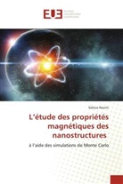 Saloua Aouini - L'étude des propriétés magnétiques des nanostructures