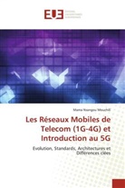 Mama Nsangou Mouchili - Les Réseaux Mobiles de Telecom (1G-4G) et Introduction au 5G