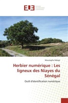 Moustapha Ndiaye - Herbier numérique : Les ligneux des Niayes du Sénégal