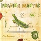William Anthony - Praying Mantis