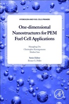 Shangfeng Du, Shangfeng (School of Chemical Engineering Du, Christopher Koenigsmann, Christopher (Assistant Professor of Chemistry Koenigsmann, Shuhui Sun, Shuhui (Institut National de la Recherche Scientifique (INRS) Sun... - One-dimensional Nanostructures for PEM Fuel Cell Applications