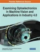Wendy Flores-Fuentes, Julio C. Rodriguez-Quinonez, Julio C. Rodriguez-Quiñonez, Oleg Sergiyenko - Examining Optoelectronics in Machine Vision and Applications in Industry 4.0, 1 volume