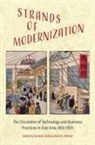 David Sicilia, David B. (EDT)/ Wittner Sicilia, David B. Wittner Sicilia, David B. Sicilia, David Wittner, David G. Wittner - Strands of Modernization