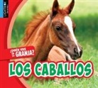 Jared Siemens, Siemens Jared - Los Caballos