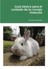 Conejos Venezuela - Guía básica para el cuidado de tu conejo mascota