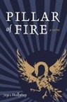 Joyce Hollyday - Pillar of Fire