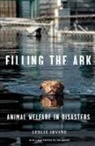Leslie Irvine - Filling the Ark