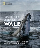 Julia Schattauer, Heinz Schmidbauer, Brian Skerry, Robert Grahn, André Marks - Das geheime Leben der Wale