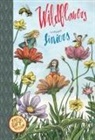 LINIERS - Wildflowers