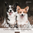 Claudia Bohne - Welsh Corgi
