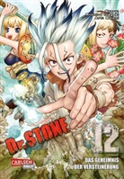 BOICH, BOICHI, Riichiro Inagaki - Dr. Stone. Bd.12