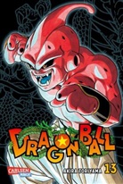 Akira Toriyama - Dragon Ball Massiv. Bd.13