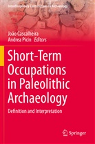 Joã Cascalheira, João Cascalheira, Picin, Picin, Andrea Picin - Short-Term Occupations in Paleolithic Archaeology