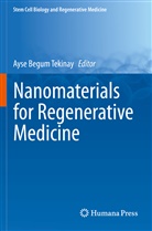 Ays Begum Tekinay, Ayse Begum Tekinay, Ayse Begum Tekinay - Nanomaterials for Regenerative Medicine
