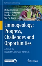 Davi B Finkelstein, David B Finkelstein, David B. Finkelstein, Lisa Park Boush, Lisa Park Boush et al, Sila Pla-Pueyo... - Limnogeology: Progress, Challenges and Opportunities