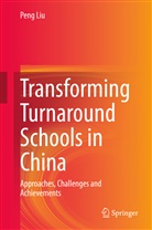 Peng Liu - Transforming Turnaround Schools in China