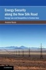 Anatole Boute, Anatole (The Chinese University of Hong Kon Boute - Energy Security Along the New Silk Road