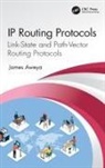 James Aweya - Ip Routing Protocols