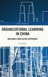 Yu Haibo, Yu (Professor At Beijing Normal University Haibo - Organizational Learning in China