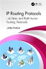 James Aweya, Aweya James - Ip Routing Protocols