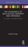 Bart¿omiej Biga, Bartlomiej Biga, Bartłomiej Biga, Bartomiej Biga - Economics of Intellectual Property and Openness