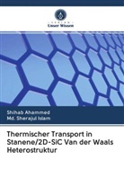 Shiha Ahammed, Shihab Ahammed, Md Sherajul Islam, Md. Sherajul Islam, Sherajul Islam - Thermischer Transport in Stanene/2D-SiC Van der Waals Heterostruktur