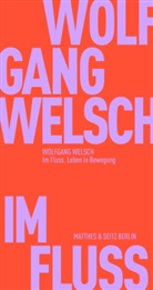 Wolfgang Welsch - Im Fluss