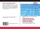 Carlos Iván Ham Rodríguez, Betsabé Manzanares, Jesús Manzanares - Transformada de Fourier de Tiempo Corto en guías elásticas planas