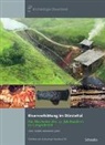 Marianne Senn, Jür Tauber, Jürg Tauber, Archäologie Baselland, Archäologie Baselland - Eisenverhüttung im Dürsteltal