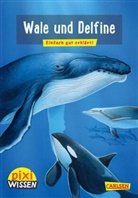Cordula Thörner, Jochen Windecker - Pixi Wissen 8: Wale und Delfine