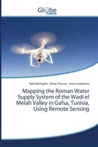 Nabil Bachagha, Rosa Lasaponara, Wang Xinyuan - Mapping the Roman Water Supply System of the Wadi el Melah Valley in Gafsa, Tunisia, Using Remote Sensing