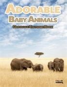 Draconis Publishing, Draconis Publishing - Adorable Baby Animals Grayscale Coloring Book