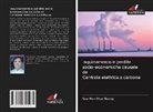 Saw Htun Htun Naung - Inquinamento e perdite socio-economiche causate da Centrale elettrica a carbone