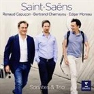 Sonaten und Trio (Hörbuch)