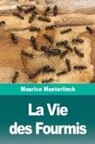 Maurice Maeterlinck - La Vie des Fourmis