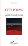 Mbarek Sryfi - City poems