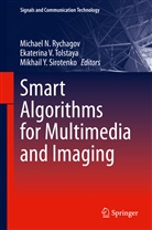 Michael N. Rychagov, Mikhail Y. Sirotenko, Ekaterina V. Tolstaya, Ekaterin V Tolstaya, Ekaterina V Tolstaya, Mikhail Y Sirotenko - Smart Algorithms for Multimedia and Imaging
