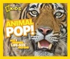 National Geographic - Animal Pop!: With 5 Incredible, Life Size Fold-Outs