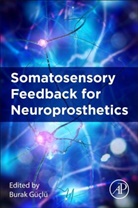 Burak Guclu, Burak (Professor Guclu - Somatosensory Feedback for Neuroprosthetics