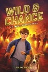 Allen Zadoff, Zadoff Allen - Wild & Chance