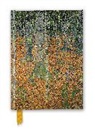 Gustav Klimt: The Birch Wood (Foiled Journal)