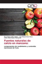 Linda Citlalli Noperi Mosqueda, Juan Manuel Soto Parra, Rosa María Yáñez Muñoz - Fuentes naturales de calcio en manzano: