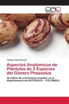 Catalina Vélez Escobar - Aspectos Anatómicos de Plántulas de 3 Especies del Género Phaseolus