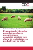 Agustín Beruvides Rodríguez, Maykel Hernández Luis - Evaluación del bienestar animal de cerdos en crecimiento en convenios porcinos y su efecto en los indicadores productivos y de salud