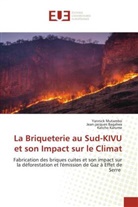 Jean-jacques Bagalwa, Katcho Karume, Yannick Mutambo - La Briqueterie au Sud-KIVU et son Impact sur le Climat