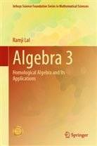 Ramji Lal - Algebra 3